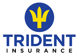 Insurance Logo 13